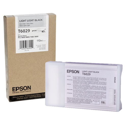 Cartouche-EPSON-T6029-C13T602900