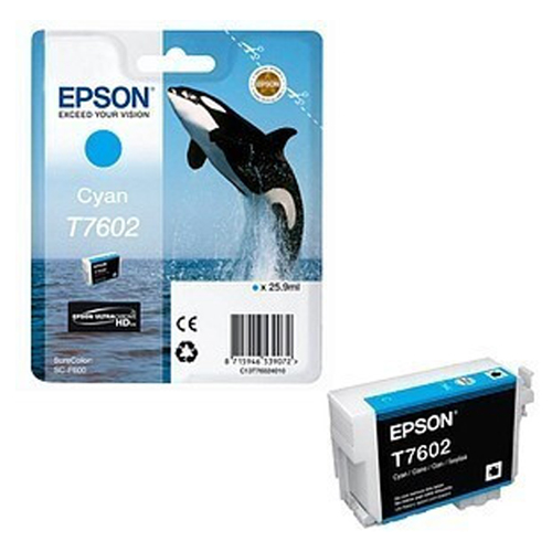 Cartouche-EPSON-T7602-C13T76024010