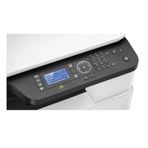 Product Image 343